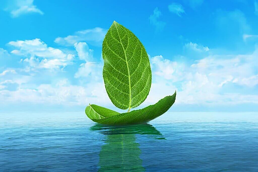 Green Products and Systems